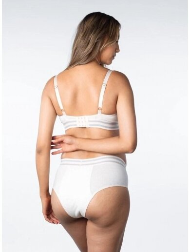 Elevate Leakproof Elevate Leakproof Bikini hell Marle 1 Elevate Leakproof Elevate Leakproof Bikini hell Marle 1