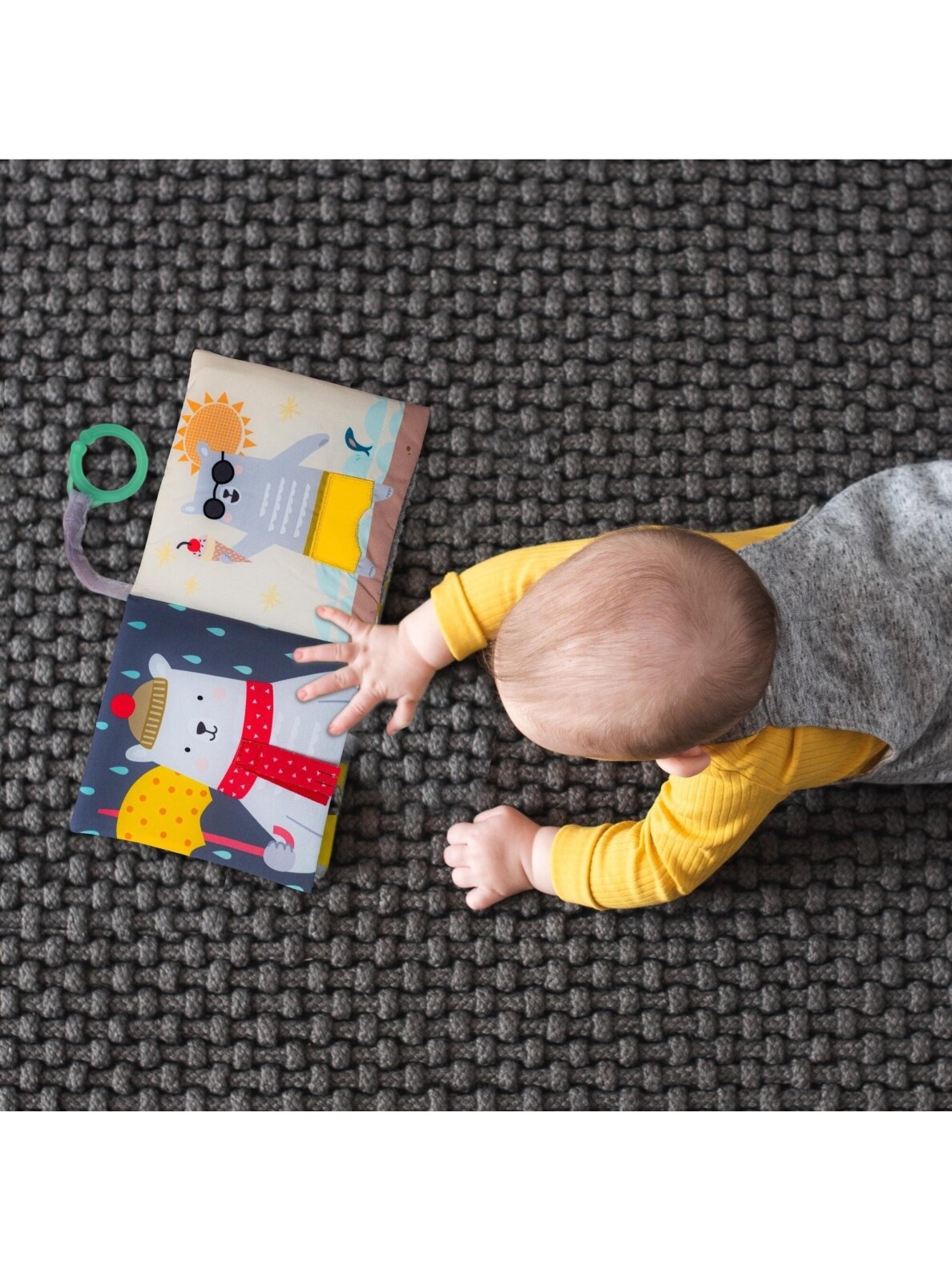 Taf Toys baby book What does Paul wear 3 Taf Toys baby book What does Paul wear 3