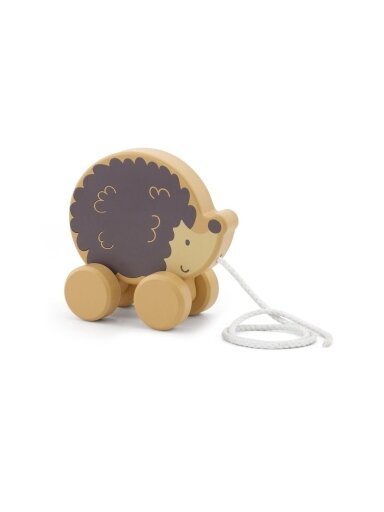 Koka vilkšanas ezītis, VIGA PolarB